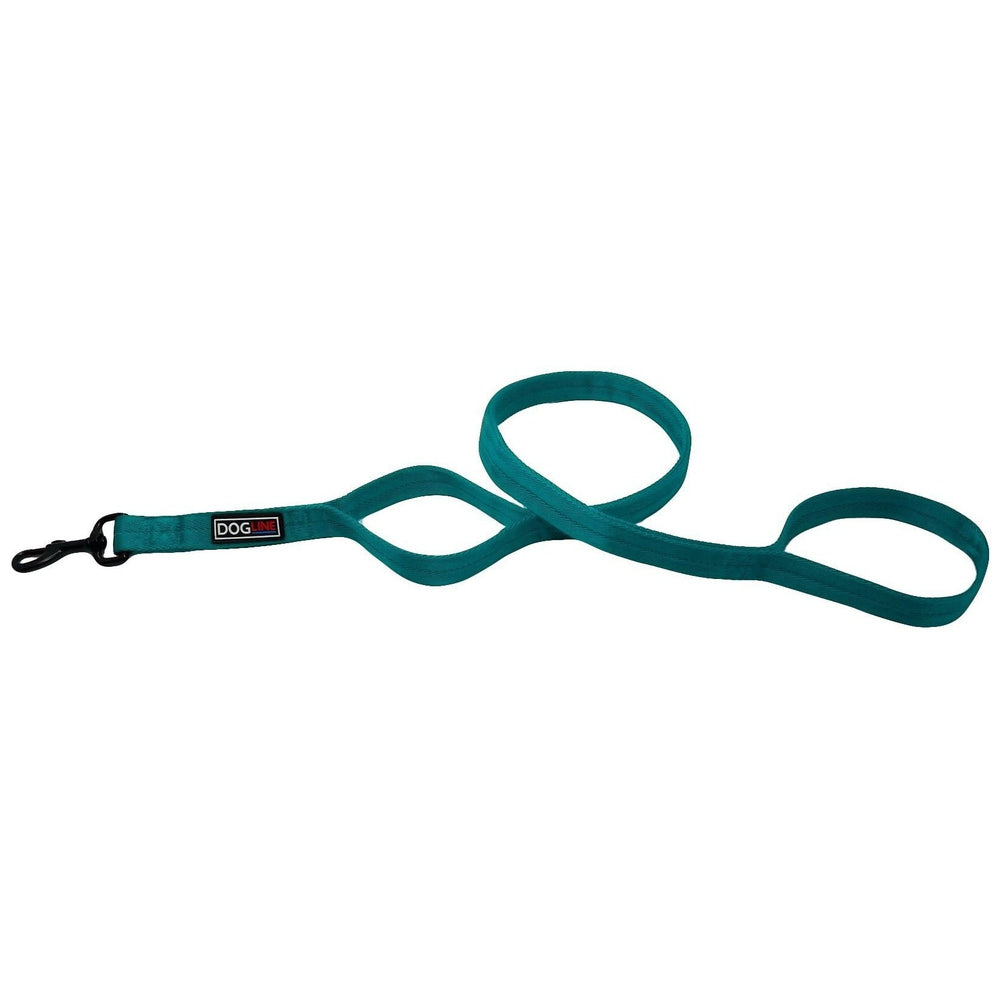 Cyan blue nylon dog leash with additional traffic handle and black snap hook