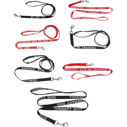 Reflective nylon dog leash with high-visibility stitching and durable hardware for safe nighttime walks"