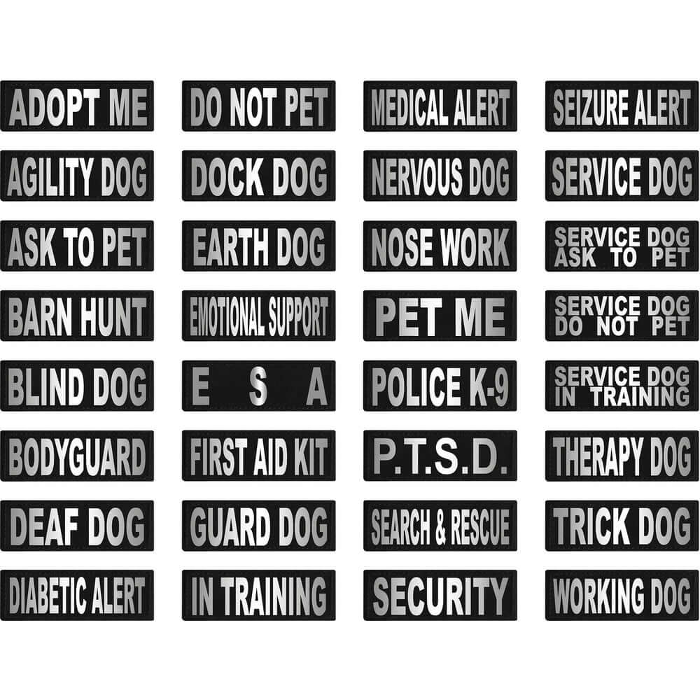 Set of 2 removable reflective patches for dog collars or harnesses to enhance nighttime visibility and safety