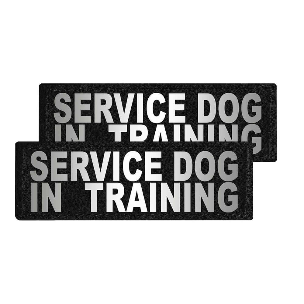 Set of 2 removable reflective patches for dog collars or harnesses to enhance nighttime visibility and safety