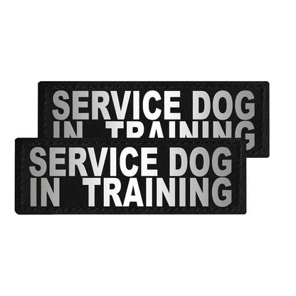 Set of 2 removable reflective patches for dog collars or harnesses to enhance nighttime visibility and safety