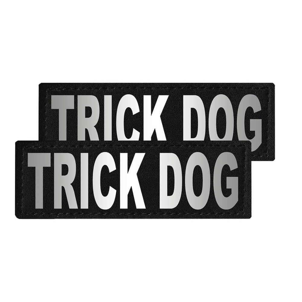 Set of 2 removable reflective patches for dog collars or harnesses to enhance nighttime visibility and safety