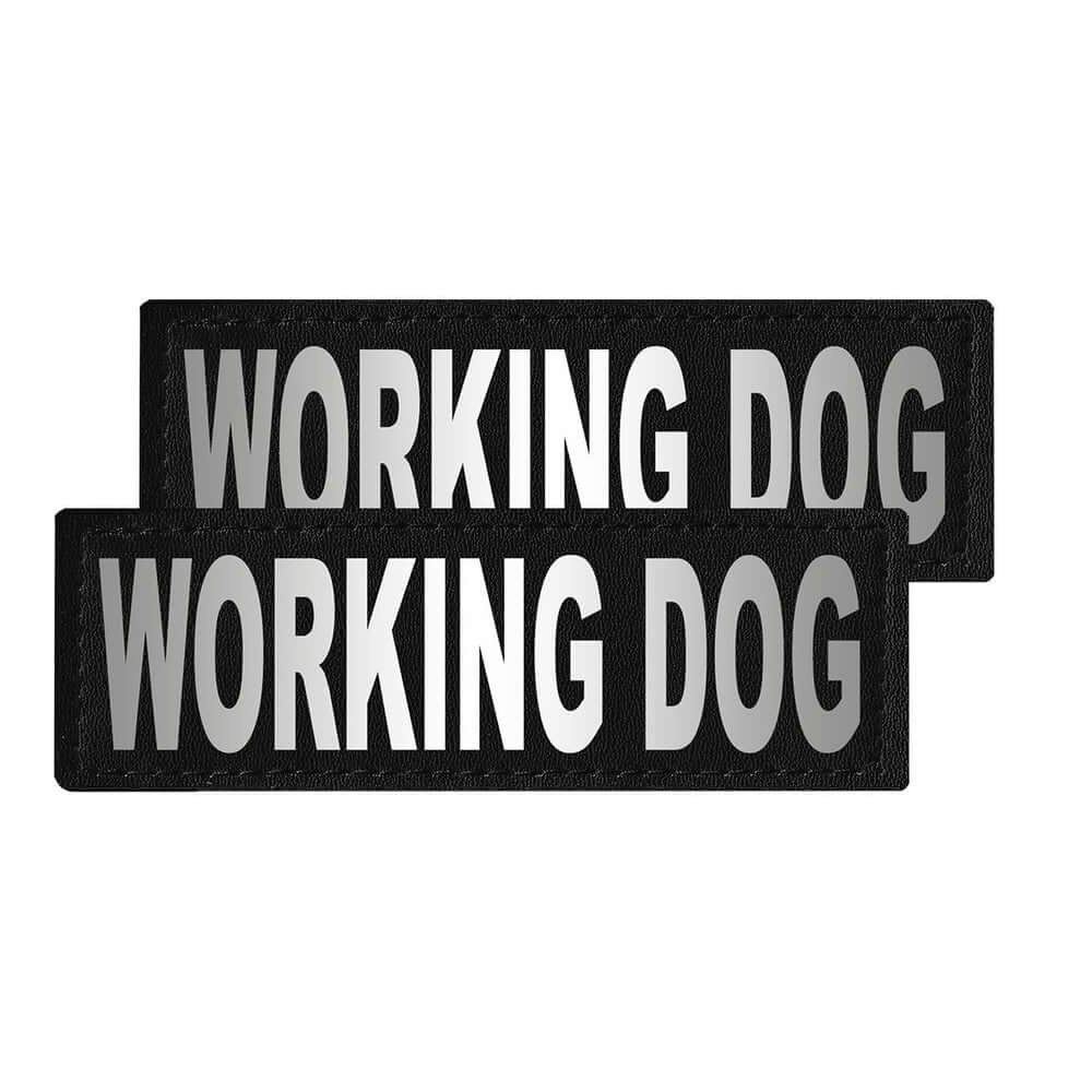 Set of 2 removable reflective patches for dog collars or harnesses to enhance nighttime visibility and safety