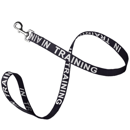 Reflective nylon dog leash with high-visibility stitching and durable hardware for safe nighttime walks"