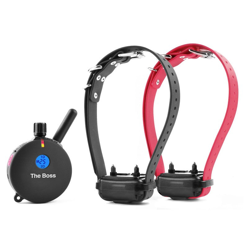 Educator ET-802 The Boss Remote E-Collar – 1 Mile Waterproof 2-Dog Trainer - et-802-2-dog-the-boss-remote-dog-trainer