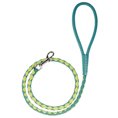 Dual-color braided round leather dog lead made from soft premium leather with reinforced stitching and durable hardware for stylish, comfortable walks