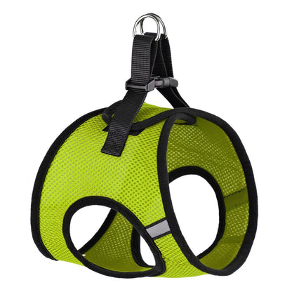 York mesh dog harness with breathable padding and adjustable fit for small to medium breeds"