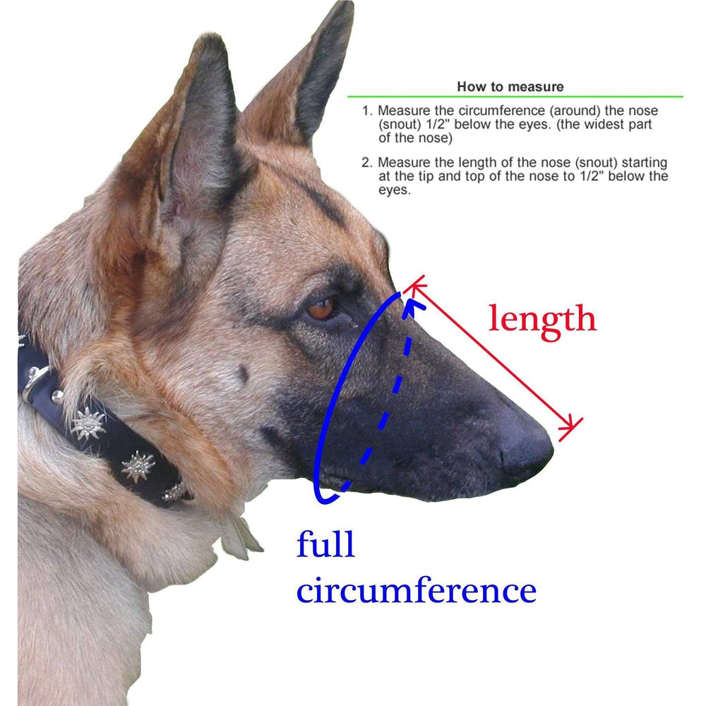 a dog wearing Black mesh dog muzzle made from nylon