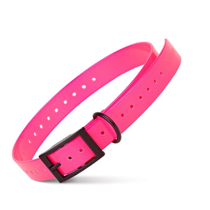 Translucent pink Biothane dog collar