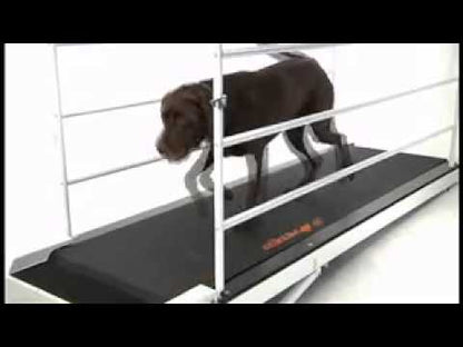 GoPet PetRun RP 700 Treadmill Small Dogs Up To 44 LBS