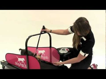 DogPACER Mini Treadmill