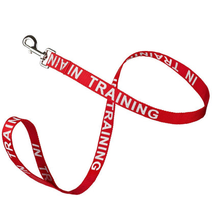Reflective nylon dog leash with high-visibility stitching and durable hardware for safe nighttime walks"
