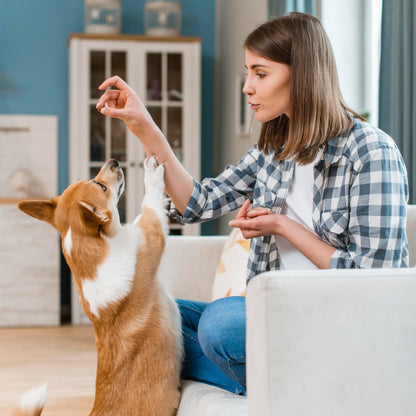 Dog enjoying True Tails multivitamin soft chews - daily dog vitamins for immune and digestive support