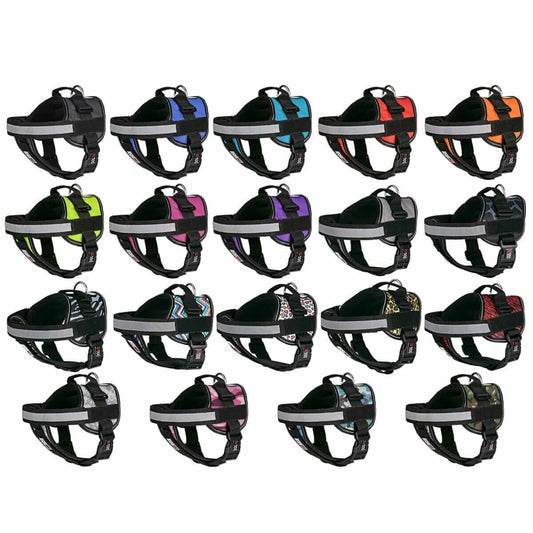 Durable pet harness for walking, training, and outdoor adventures