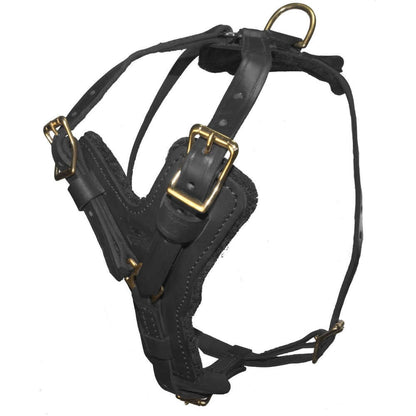 Durable Viper Typhoon leather harness designed for working and protection dogs being displayed on a white background