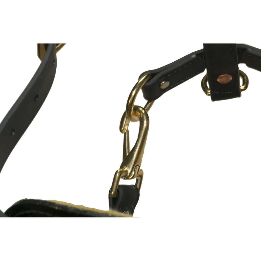 Biothane working dog harness by Viper Surge featuring strong brass hardware