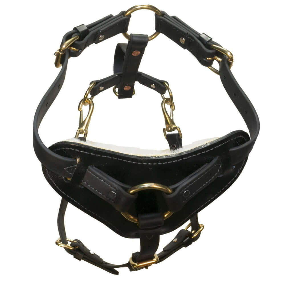 Biothane working dog harness by Viper Surge featuring strong brass hardware