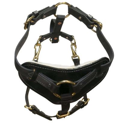 Biothane working dog harness by Viper Surge featuring strong brass hardware