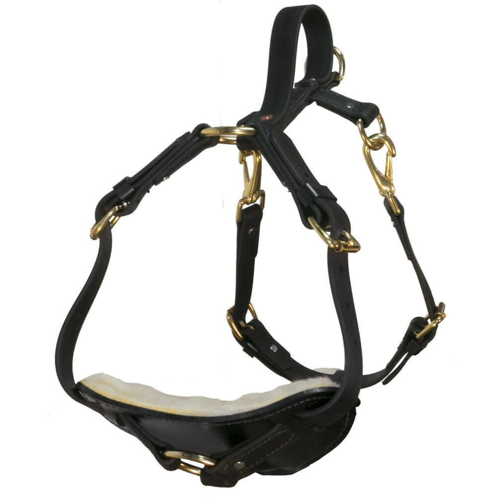 Biothane working dog harness by Viper Surge featuring strong brass hardware